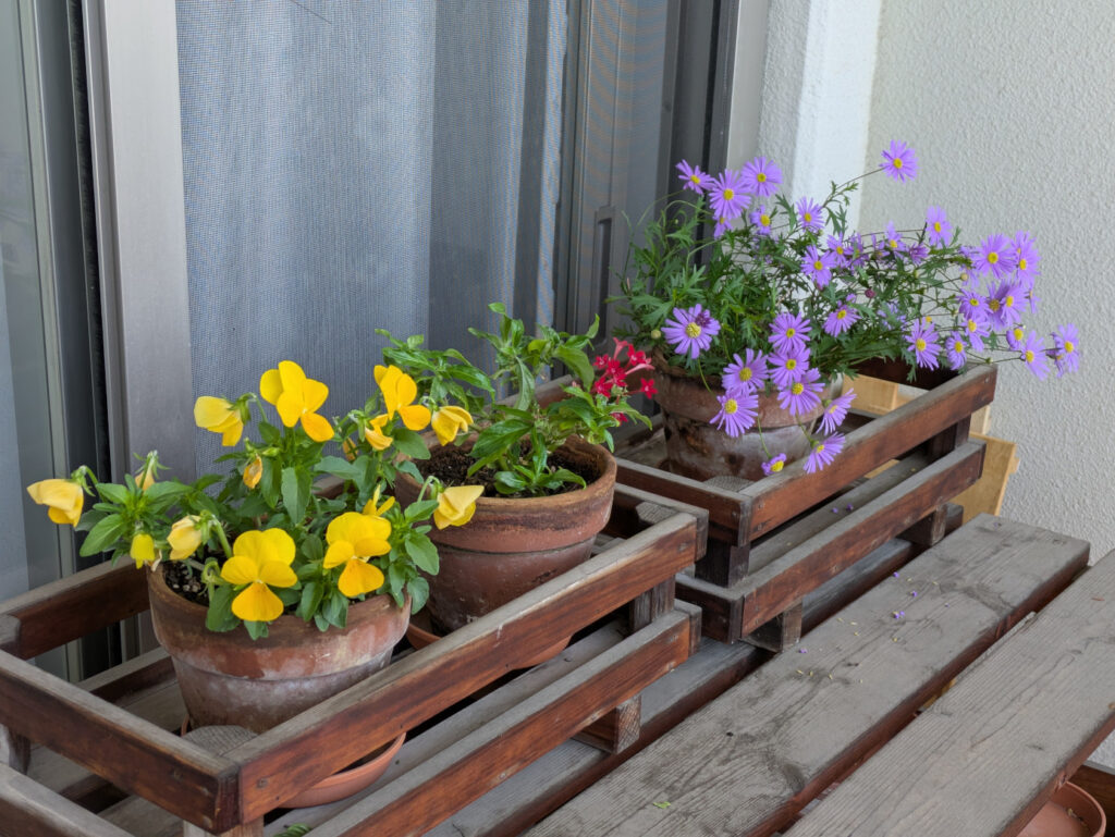 ひとり時間　生活のリズム　自分を労る