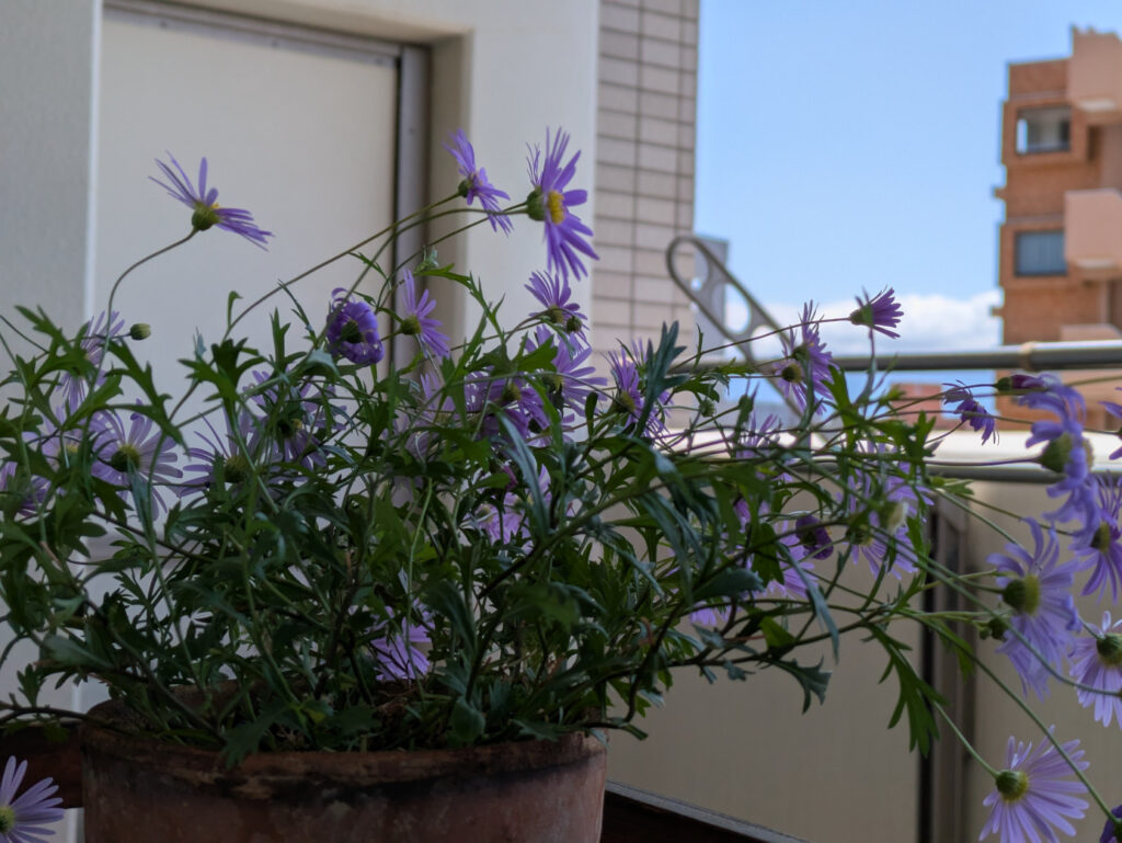 ひとり時間　生活のリズム　自分を労る